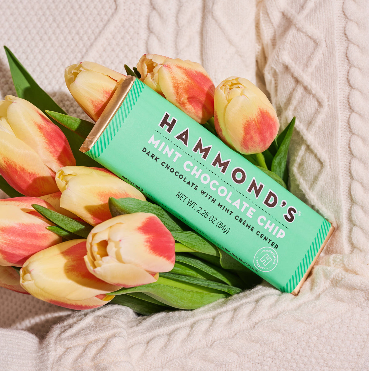 Candy Bar - Dark Chocolate - Mint Chocolate Chip - 2.25 oz